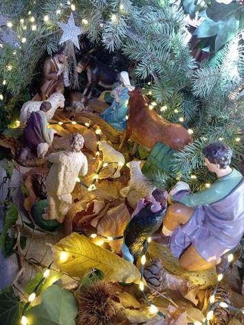 Une image contenant sapin, No�l, arbre, d�coration de No�l

Le contenu g�n�r� par l�IA peut �tre incorrect.